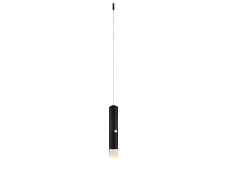 Akku Hängelampe Schwarz, dimmbar, abnehmbarer Leuchtenkopf Ø 3,8cm