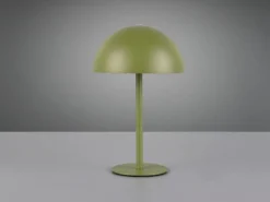 Akku Tischleuchte MUNOZ Grün dimmbar & per USB aufladbar, Höhe 21cm