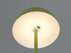 Akku Tischleuchte MUNOZ Grün dimmbar & per USB aufladbar, Höhe 21cm