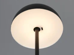 Akku Tischleuchte MUNOZ Schwarz dimmbar & per USB aufladbar, Höhe 21cm