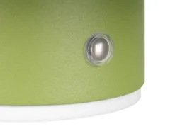 Akku Wandleuchte DAVEY aus Metall Grün per USB aufladbar, Ø 15,5cm