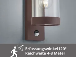 Außenwandleuchte SAMBESI Laterne in Rostoptik mit Bewegungsmelder H: 33cm