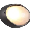 Außenwandleuchte TEMO Schwarz Fassadenbeleuchtung IP44 oval Breite 21,3cm