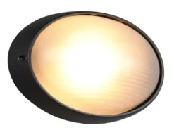 Außenwandleuchte TEMO Schwarz Fassadenbeleuchtung IP44 oval Breite 32cm