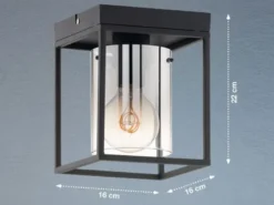 Deckenlampe 1-flammig Schwarz mit Rauchglas & LED dimmbar, Quadrat 16cm