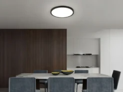Deckenleuchte DRACO Schwarz ultraflach LED dimmbar & Lichtfarbe einstellbar 40cm