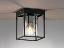 Deckenleuchte SAMU 1-flammig Schwarz mit Rauchglas, Quadrat 16cm
