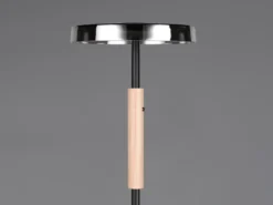 Dimmbare LED Stehleuchte CELESTE mit Holzelement & Glasschirm, Höhe 160cm
