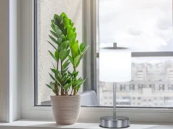 2er SET kabellose Tischlampen Silber / Opalglas dimmbar, Höhe 34,5cm