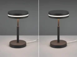 2-er Set kleine LED Tischleuchten rund, Anthrazit, Höhe 25cm