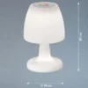 2er SET kleine Outdoor Akku Tischlampen 26cm ohne Kabel - dimmbar & RGB