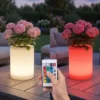2er Set LED Solar Blumentopf mit RGBW Farbwechsel & Fernbedienung, Höhe 30cm