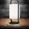 2er SET Outdoor Akku Tischlampen mit Fernbedienung & RGB, Höhe 25cm