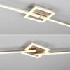 Flache LED Deckenleuchte VIALE Silber rechteckig groß, max. Breite 63cm
