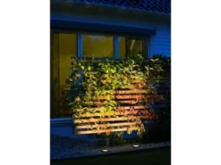 Flacher LED Bodeneinbaustrahler klares Glas mit schwarzem Rand Ø9,2cm, IP65