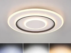Große LED Deckenleuchte JORA flach & hell, mit Fernbedienung dimmbar Ø 60cm