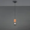 Industrial LED Pendellampe mit Drahtkorb Schwarz matt und Holzfassung, Ø 10cm