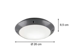 LED Außendeckenleuchte Wandlampe rund in Anthrazit - 26 cm