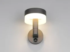 LED Außenwandleuchte MACKENZIE mit Bewegungsmelder in Anthrazit, Höhe 22cm
