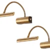 LED Bilderleuchte im 2er Set in Altmessing mit Flexarm & Drehdimmer