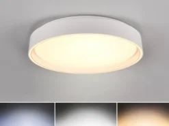 LED Deckenleuchte FELIS mit Fernbedienung & Tageslicht, Weiß Ø 40cm