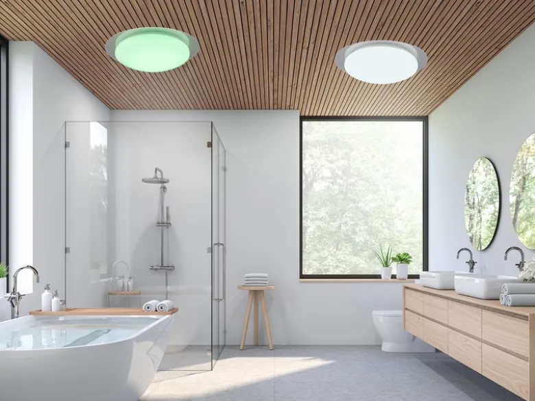 LED Deckenleuchte FRODENO Fernbedienung dimmbar Sternenhimmel Farbwechsel, Ø35cm