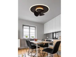 LED Deckenleuchte mit Ventilator NYBRO Fernbedienung Lichtfarbe Wechsel Ø50cm
