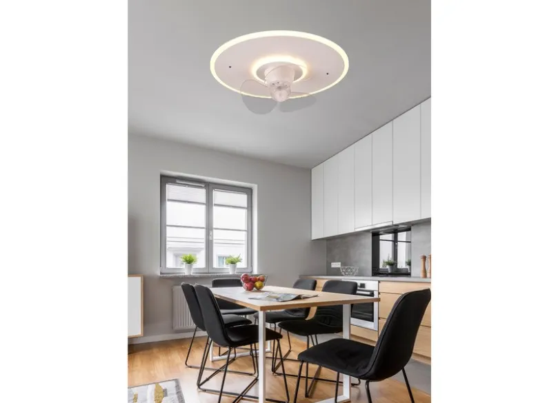 LED Deckenleuchte mit Ventilator NYBRO Fernbedienung Lichtfarbe Wechsel, Ø 50cm