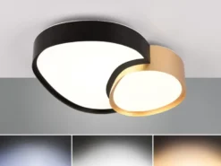 LED Deckenleuchte RISE mit Fernbedienung dimmbar Schwarz Gold, Breite 43,5cm