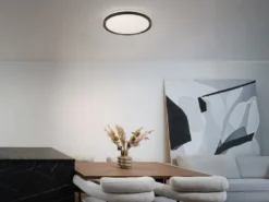 LED Deckenleuchte SOLIT flach dimmbar Fernbedienung, RGB, Schwarz, Ø 39cm