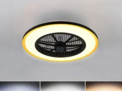 LED Deckenleuchte VARPULA mit Ventilator, Tageslicht und Fernbedienung Ø 55cm