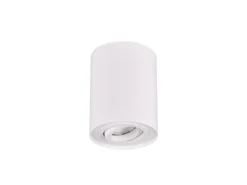 LED Deckenstrahler Weiß mit schwenkbarem Spot, Ø 9,6cm