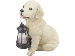 LED Deko Solarleuchte Hundelampe Welpe mit Laterne in Beige-Weiß, Höhe 26cm