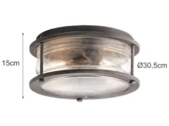 LED Industrial Deckenleuchte für Innen & Außen, Anthrazit Ø30,5cm