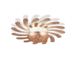 LED Wandleuchte SUN, Metall Gold foliert, indirekte Beleuchtung Ø 40cm