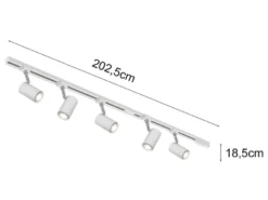 Lichtschienensystem Weiß mit 5 Spots & Einspeisung 4-adrig, Länge 202,5cm
