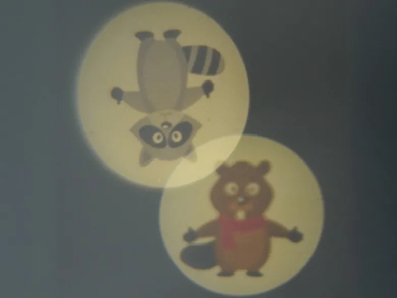 Nachtlicht WALDTIERE (3 Motive) Projektor für die Kinderzimmer Steckdose H 10cm