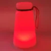 Outdoor Akku Tischleuchte BRUNO mit Fernbedienung dimmbar & RGB, Höhe 20cm