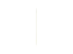 Ovaler Wandspiegel JOSEPHINE mit Metall Rahmen Gold 30x70cm