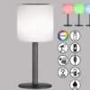 RGB Tischlampe LESINA mit Fernbedienung, per Solar & USB aufladbar, Höhe 30cm
