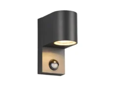 Runde Außenwandleuchte ROYA Downlight mit Bewegungsmelder, Anthrazit, Höhe 15cm