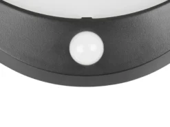 Solar Außenwandleuchte COBRE auch per USB aufladbar mit Bewegungsmelder, B: 16cm
