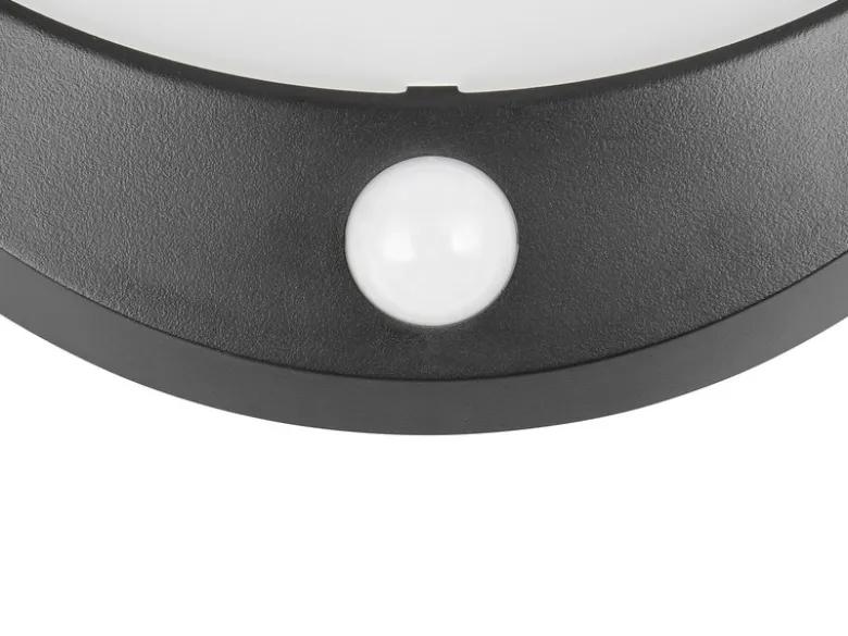 Solar Außenwandleuchte COBRE auch per USB aufladbar mit Bewegungsmelder, B: 16cm